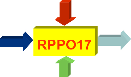 RPPO17